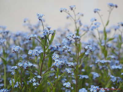 g9/31/798231/3/159867447.u8f0kF8v.jpg