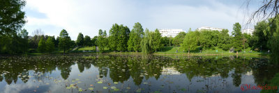 panasonic-fz1000-panorama-9.JPG