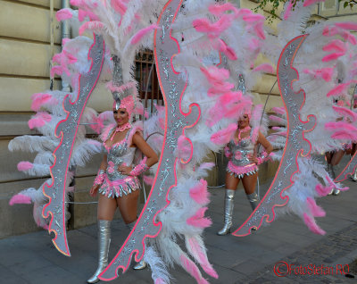 b-fit-santa-cruz-carnival-group-12.JPG