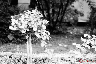g9/31/798231/3/161219328.3DUXnU1i.jpg