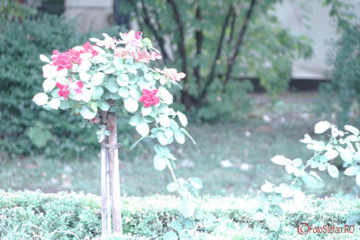 g9/31/798231/3/161219344.3lf5x83D.jpg
