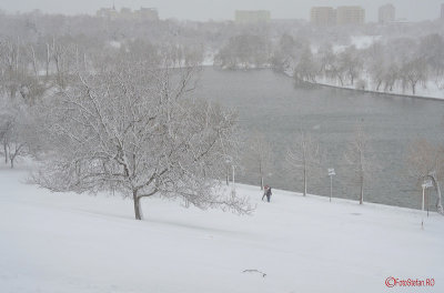 parcul-tineretului-iarna-zapada-bucuresti-9.JPG