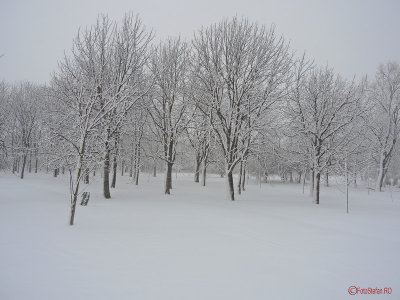 parcul-tineretului-iarna-zapada-bucuresti-41.JPG
