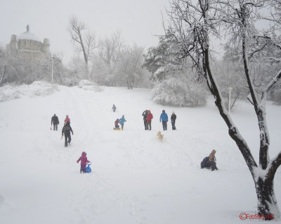 parcul-tineretului-iarna-zapada-bucuresti-52.JPG