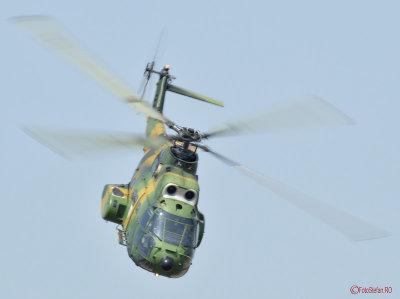 bucuresti-airshow-bias2016-IAR-330-Puma-12.JPG