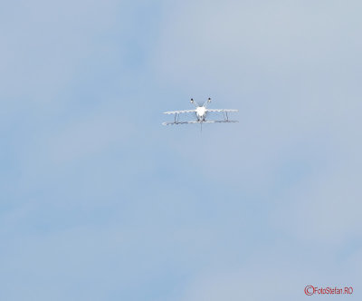 aeronautic-show-bucuresti-biplan-Skeen-Skybolt-14.JPG