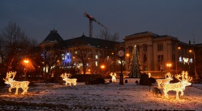 luminite-craciun-cismigiu-bucuresti-2016-2.JPG