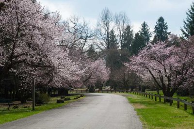 Durand Eastman Park