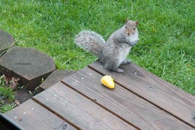 Who Me?