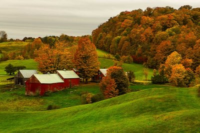 Jenne-Farm-3917.jpg