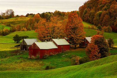 Jenne-Farm-3919.jpg