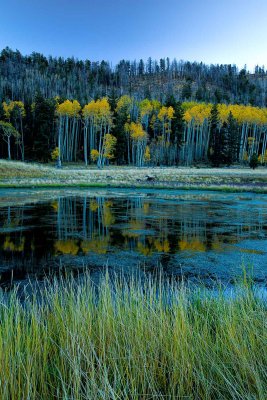 Reflections of Fall 1638.jpg