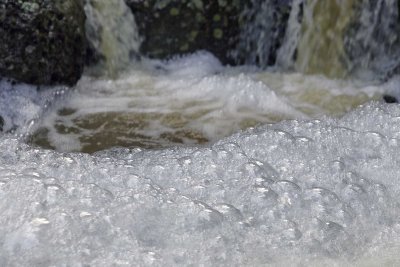 Bubbles 3047.jpg