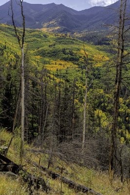 Lockett Meadow 6516.jpg