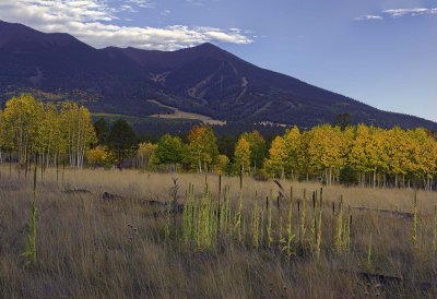 Lockett Meadow 6532.jpg