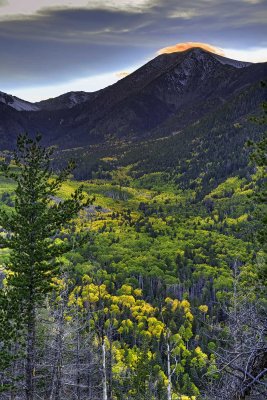 Lockett Meadow 6691.jpg