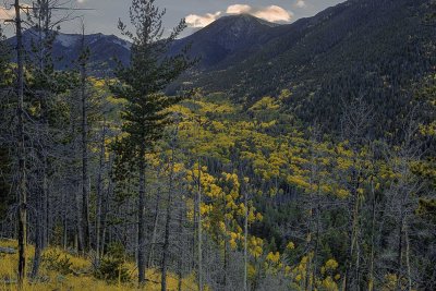 Lockett Meadow 6670.jpg