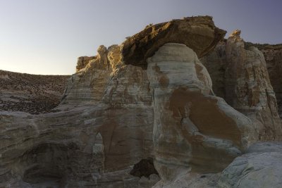 Stud Horse Point 7050.jpg