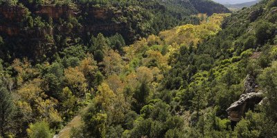 Oak Creek Fall color 7408.jpg