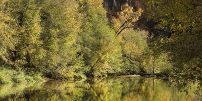 Oak Creek Fall Color 7414.jpg
