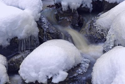 Cold 7725.jpg