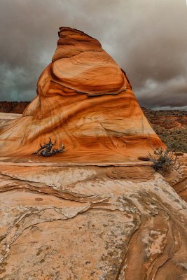 Coyote Buttes South 8563.jpg
