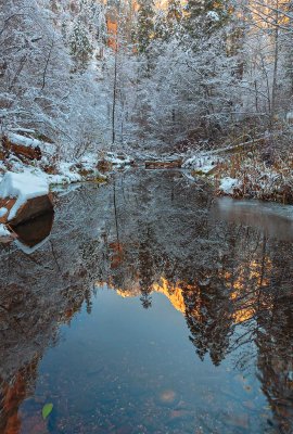 west fork_9915.jpg