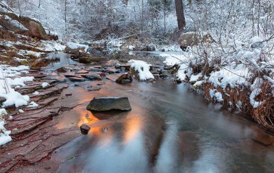 west fork 9901.jpg