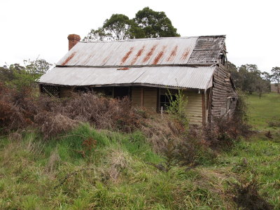 Overgrown