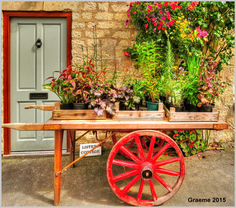 plant cart
