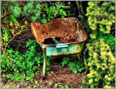 Rusty Wheelbarrow