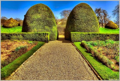 Topiary's and Stairs