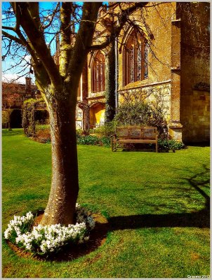 Snow Drops and Church