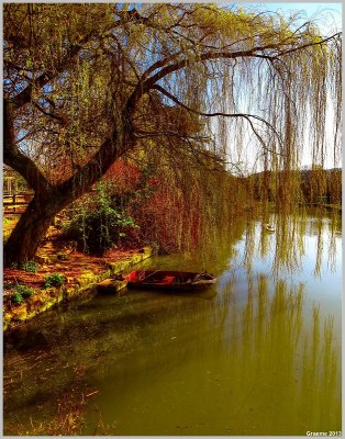 Under The Willow Tree