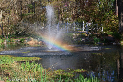 Pond at Sayen Gardens