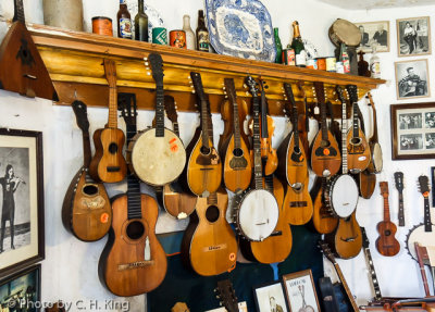 String Instrument Collection