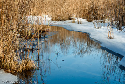 Winter Stream