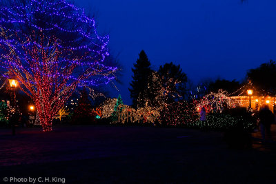 Christmas Lights at Peddler's Village