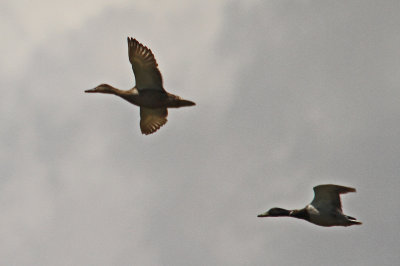 g9/32/1035532/3/151109351.qHMWiLxF.jpg