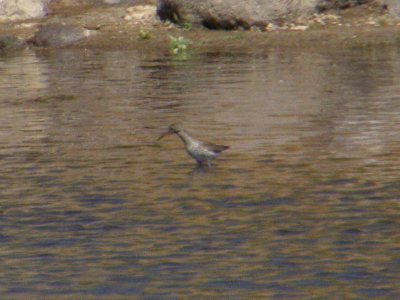 Poor shot I know, but the only record shot that we have.