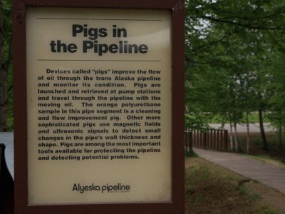 Slide228.JPG