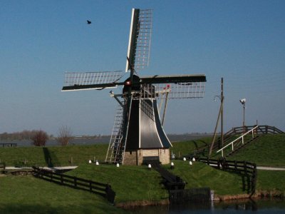Slide155.JPG