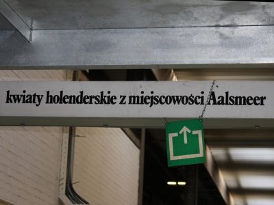 Slide202.JPG