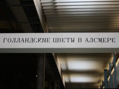 Slide203.JPG