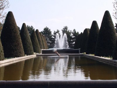 Slide244.JPG
