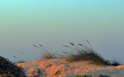 Dunes at sunset