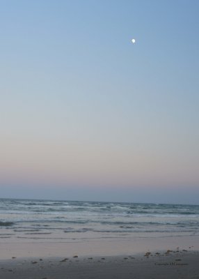 Moon Rise over Padre Island