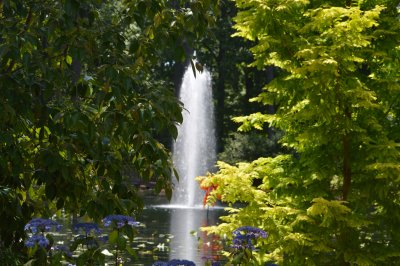 Norfolk Botantical Gardens