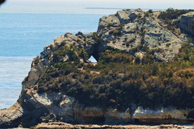 Cave at Pirates Cove