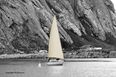sailing in Morro Bay